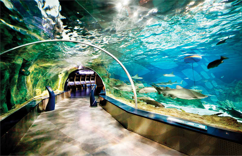 Istanbul Aquarium​